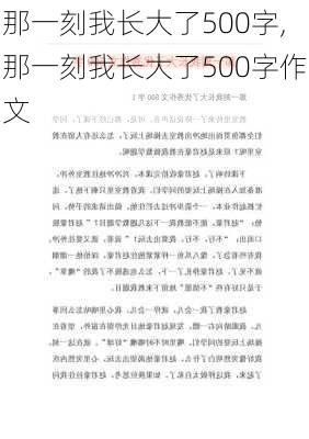 那一刻我长大了500字,那一刻我长大了500字作文-第2张图片-安安范文网