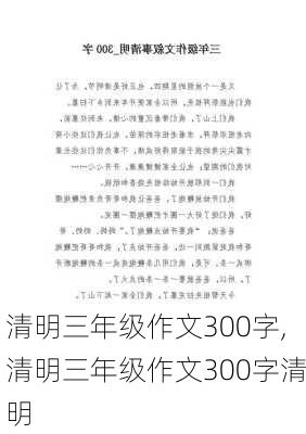 清明三年级作文300字,清明三年级作文300字清明-第2张图片-安安范文网