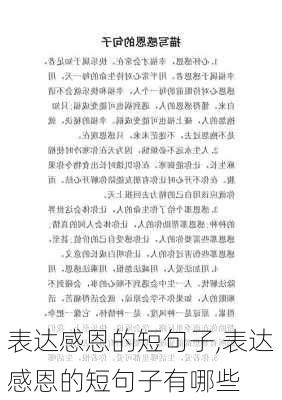 表达感恩的短句子,表达感恩的短句子有哪些-第3张图片-安安范文网