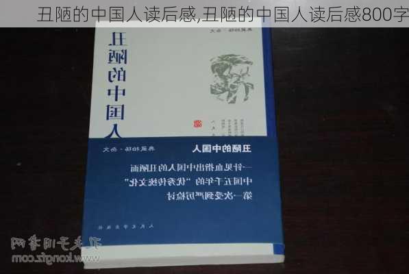 丑陋的中国人读后感,丑陋的中国人读后感800字-第3张图片-安安范文网