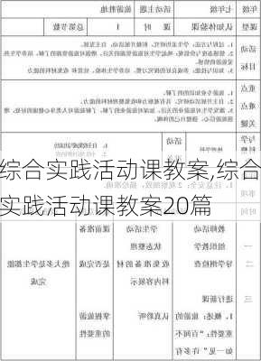 综合实践活动课教案,综合实践活动课教案20篇-第1张图片-安安范文网