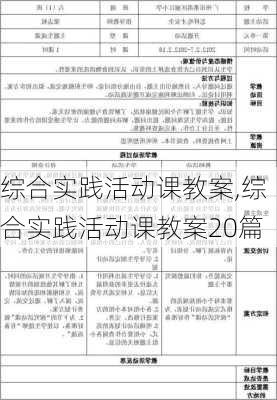 综合实践活动课教案,综合实践活动课教案20篇-第2张图片-安安范文网