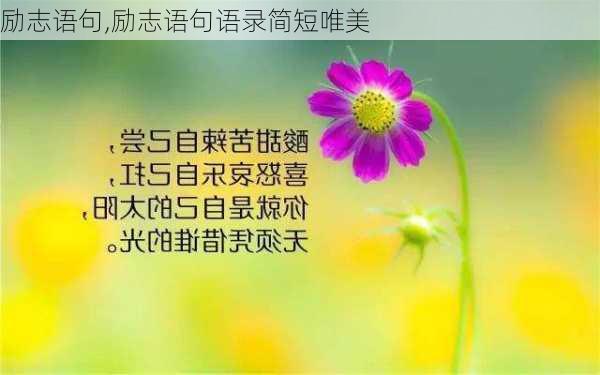 励志语句,励志语句语录简短唯美-第2张图片-安安范文网