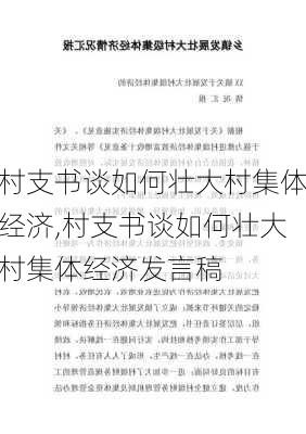 村支书谈如何壮大村集体经济,村支书谈如何壮大村集体经济发言稿-第2张图片-安安范文网