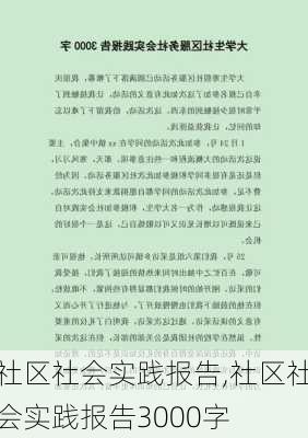 社区社会实践报告,社区社会实践报告3000字-第1张图片-安安范文网