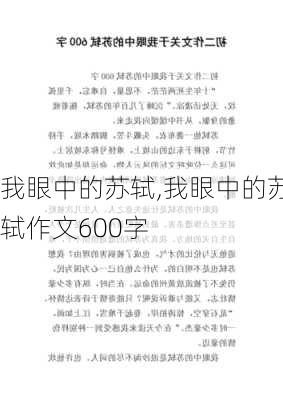 我眼中的苏轼,我眼中的苏轼作文600字-第1张图片-安安范文网