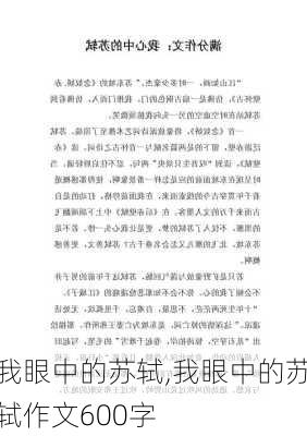 我眼中的苏轼,我眼中的苏轼作文600字-第2张图片-安安范文网