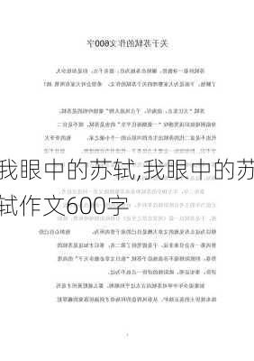 我眼中的苏轼,我眼中的苏轼作文600字-第3张图片-安安范文网