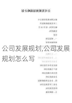 公司发展规划,公司发展规划怎么写-第1张图片-安安范文网