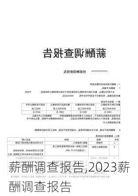 薪酬调查报告,2023薪酬调查报告-第1张图片-安安范文网