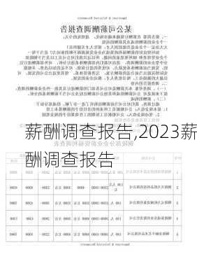 薪酬调查报告,2023薪酬调查报告-第3张图片-安安范文网