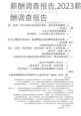 薪酬调查报告,2023薪酬调查报告-第2张图片-安安范文网