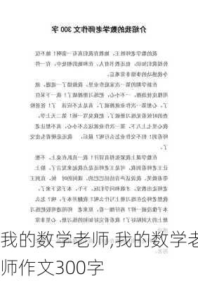 我的数学老师,我的数学老师作文300字-第2张图片-安安范文网