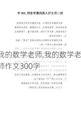 我的数学老师,我的数学老师作文300字-第3张图片-安安范文网