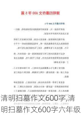 清明扫墓作文600字,清明扫墓作文600字六年级-第2张图片-安安范文网