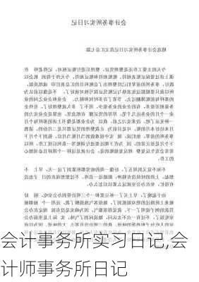 会计事务所实习日记,会计师事务所日记-第2张图片-安安范文网