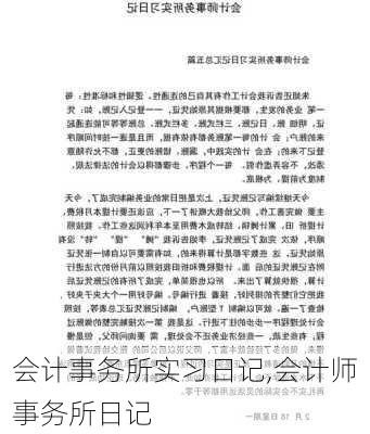 会计事务所实习日记,会计师事务所日记-第3张图片-安安范文网