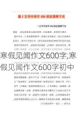 寒假见闻作文600字,寒假见闻作文600字初中-第1张图片-安安范文网