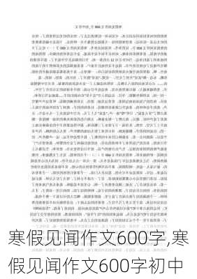 寒假见闻作文600字,寒假见闻作文600字初中-第3张图片-安安范文网