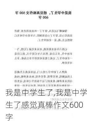 我是中学生了,我是中学生了感觉真棒作文600字-第3张图片-安安范文网