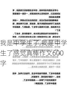 我是中学生了,我是中学生了感觉真棒作文600字-第1张图片-安安范文网