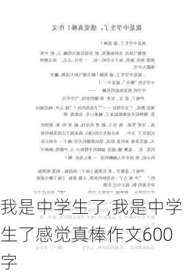 我是中学生了,我是中学生了感觉真棒作文600字-第2张图片-安安范文网