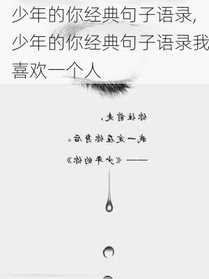 少年的你经典句子语录,少年的你经典句子语录我喜欢一个人-第2张图片-安安范文网