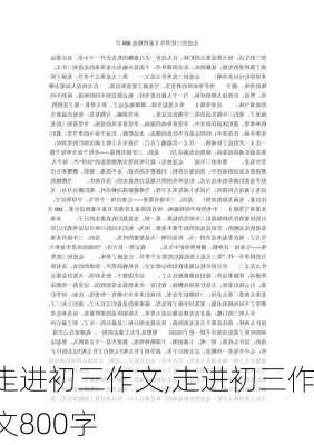 走进初三作文,走进初三作文800字-第2张图片-安安范文网