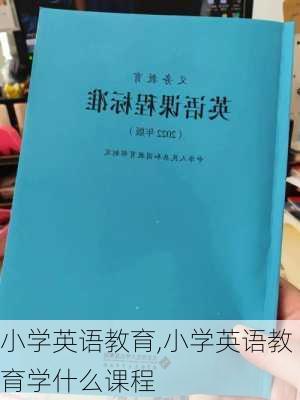 小学英语教育,小学英语教育学什么课程-第3张图片-安安范文网