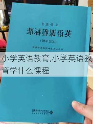 小学英语教育,小学英语教育学什么课程-第2张图片-安安范文网