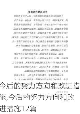 今后的努力方向和改进措施,今后的努力方向和改进措施12篇-第3张图片-安安范文网