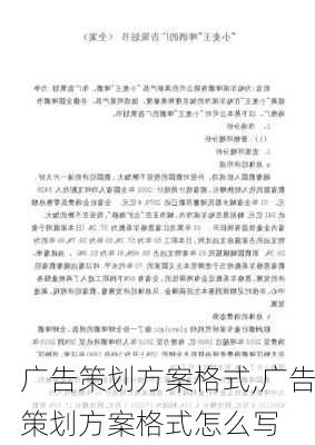 广告策划方案格式,广告策划方案格式怎么写-第3张图片-安安范文网