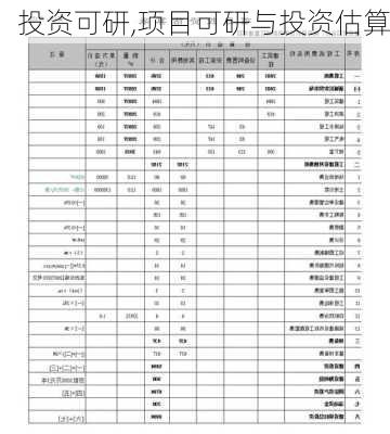 投资可研,项目可研与投资估算-第1张图片-安安范文网