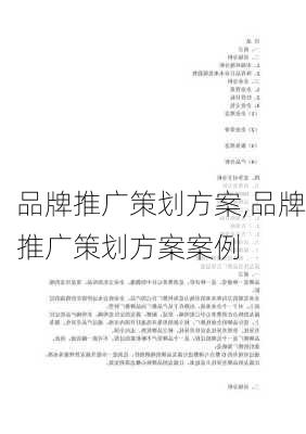 品牌推广策划方案,品牌推广策划方案案例-第2张图片-安安范文网