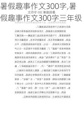 暑假趣事作文300字,暑假趣事作文300字三年级-第2张图片-安安范文网