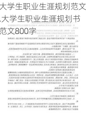 大学生职业生涯规划范文,大学生职业生涯规划书范文800字-第2张图片-安安范文网