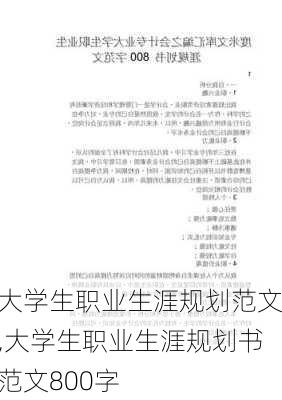 大学生职业生涯规划范文,大学生职业生涯规划书范文800字-第1张图片-安安范文网