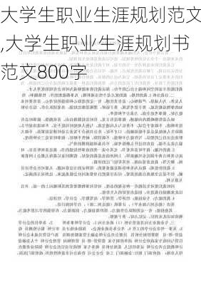 大学生职业生涯规划范文,大学生职业生涯规划书范文800字-第3张图片-安安范文网