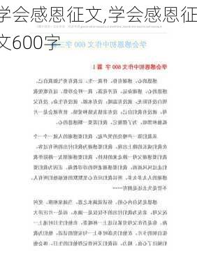 学会感恩征文,学会感恩征文600字-第3张图片-安安范文网