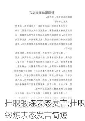 挂职锻炼表态发言,挂职锻炼表态发言简短-第2张图片-安安范文网