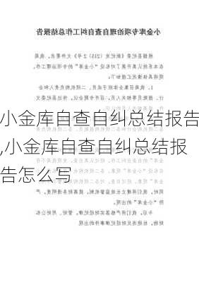 小金库自查自纠总结报告,小金库自查自纠总结报告怎么写-第1张图片-安安范文网