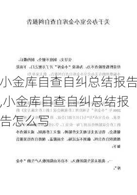 小金库自查自纠总结报告,小金库自查自纠总结报告怎么写-第3张图片-安安范文网