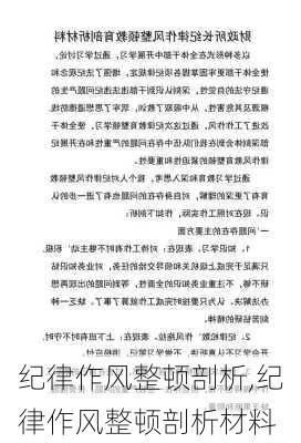 纪律作风整顿剖析,纪律作风整顿剖析材料-第2张图片-安安范文网