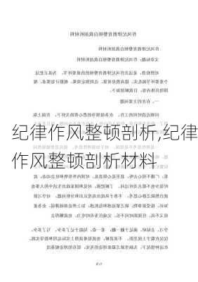 纪律作风整顿剖析,纪律作风整顿剖析材料-第3张图片-安安范文网