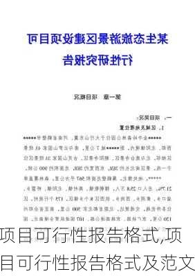 项目可行性报告格式,项目可行性报告格式及范文-第2张图片-安安范文网