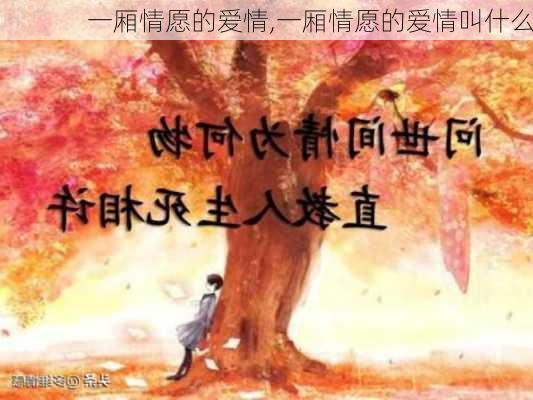 一厢情愿的爱情,一厢情愿的爱情叫什么-第3张图片-安安范文网