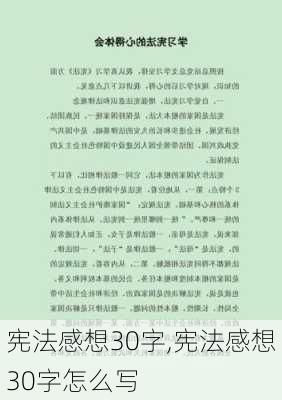 宪法感想30字,宪法感想30字怎么写-第2张图片-安安范文网