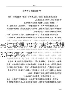 宪法感想30字,宪法感想30字怎么写-第3张图片-安安范文网