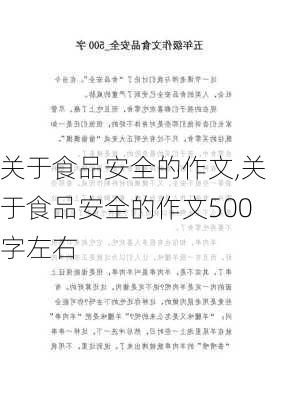 关于食品安全的作文,关于食品安全的作文500字左右-第2张图片-安安范文网