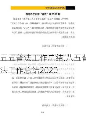 五五普法工作总结,八五普法工作总结2020-第3张图片-安安范文网